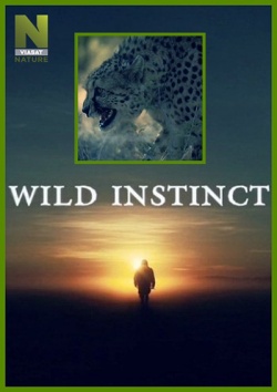   / Wild Instinct (2014) HDTVRip / HDTV 720