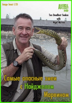       / Ten Deadliest Snakes with Nigel Marven - 1  (2014) HDTVRip / HDTV 720