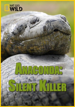 :   / Anaconda: Silent Killer (2014) HDTVRip / HDTV 720