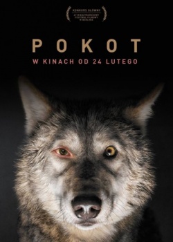   /  Pokot  (2017) HDRip / BDRip (720p)
