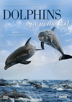 Дельфины: Шпион в стае / Dolphins: Spy in the Pod (2014) HDTVRip / HDTV 720