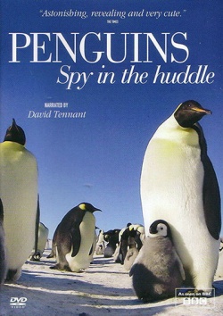 Пингвин: Шпион под прикрытием / Penguins: Spy In The Huddle - 1сезон (2013) HDTVRip
