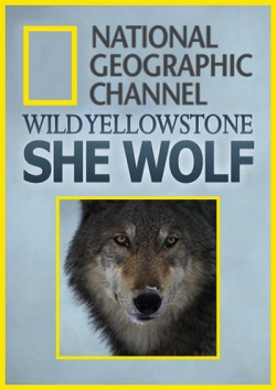  :  / Wild Yellowstone: She Wolf (2013) HDTVRip / HDTV 720