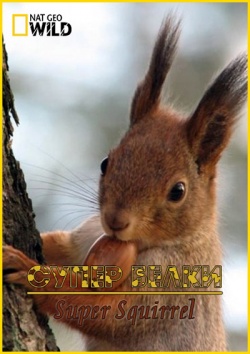 Супер белки / Super Squirrel (2014) HDTVRip