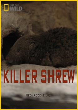 Землеройка-убийца / Killer Shrew (2014) IPTVRip