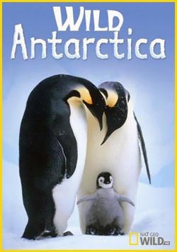 Дикая Антарктика / Wild Antarctica (2015) HDTVRip