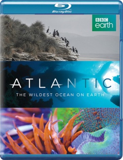:      / Atlantic: The Wildest Ocean on Earth - 1  (2015) HDRip / BDRip 720
