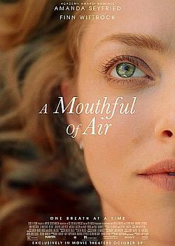 Глоток воздуха / A Mouthful of Air (2021) WEB-DLRip / WEB-DL (1080p)